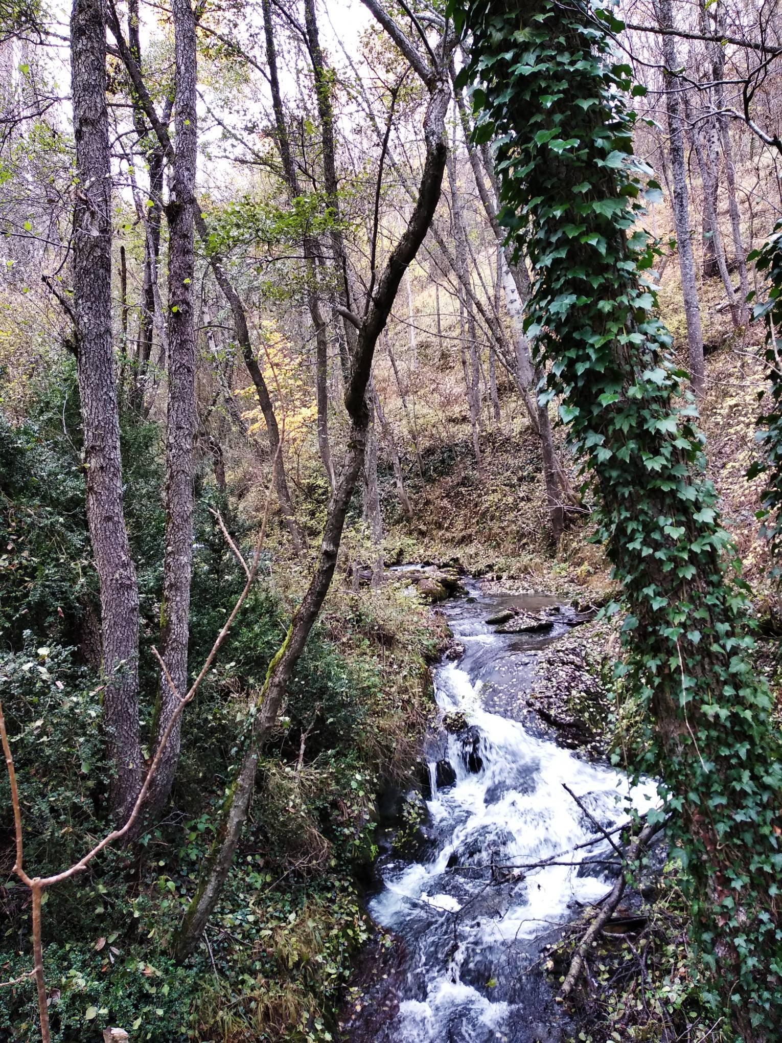 Vall de Sant Joan