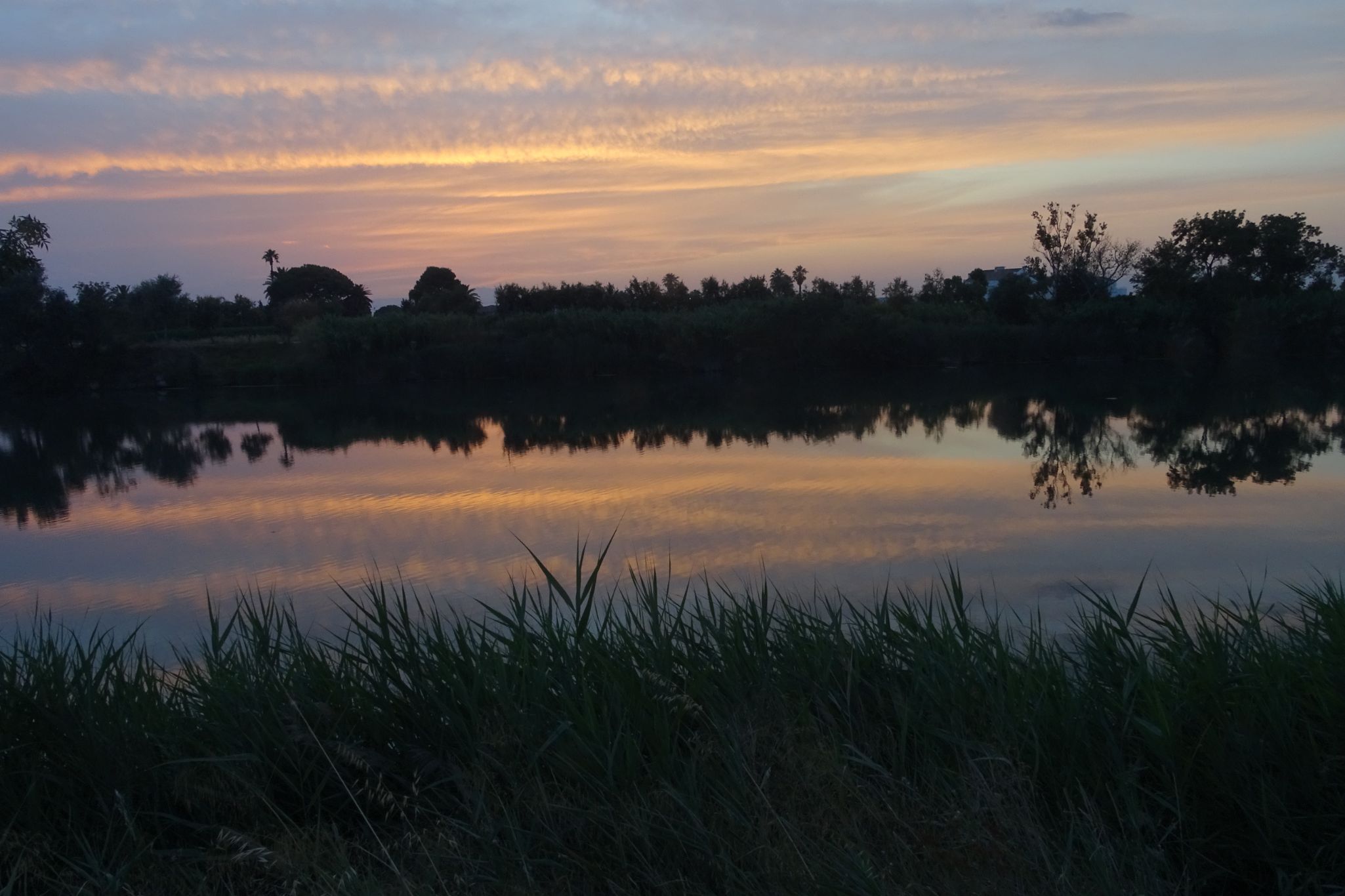 DSC07190