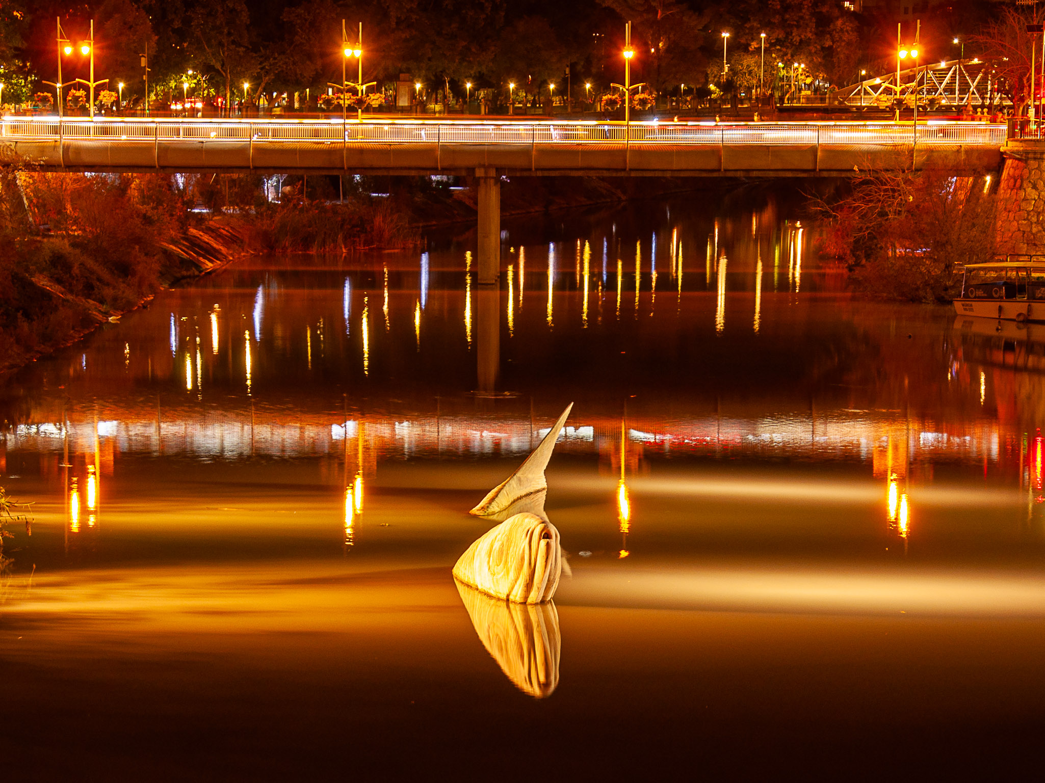 Reflexes