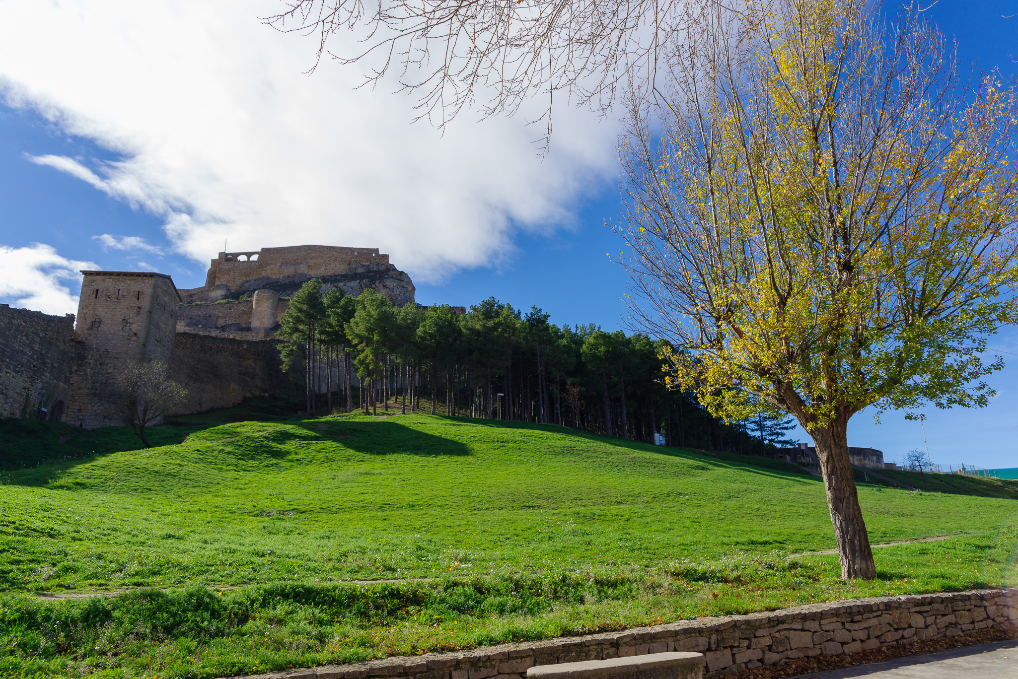 Morella 20241123 0100