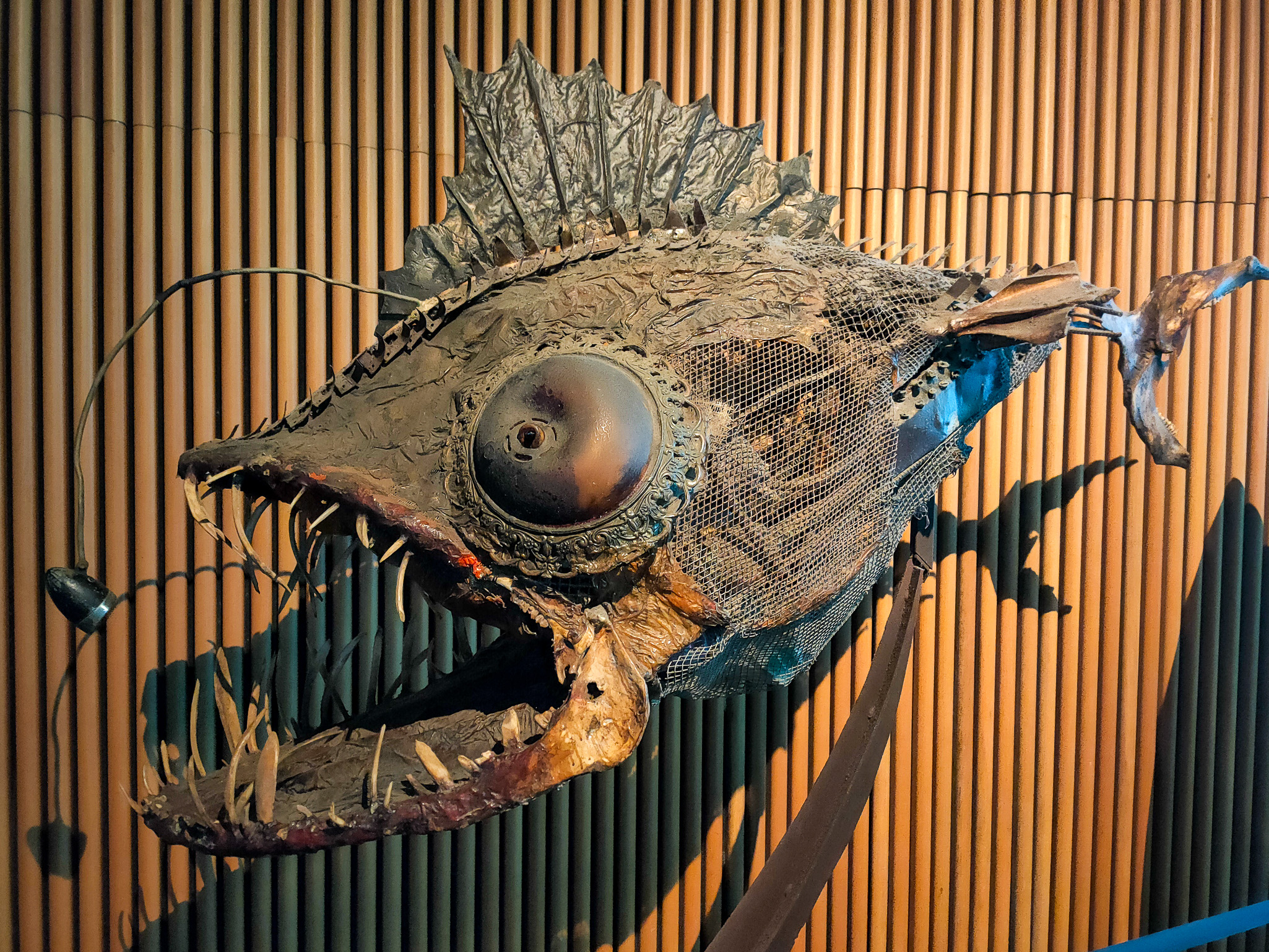 Móvil 20241126 2131 Valencia