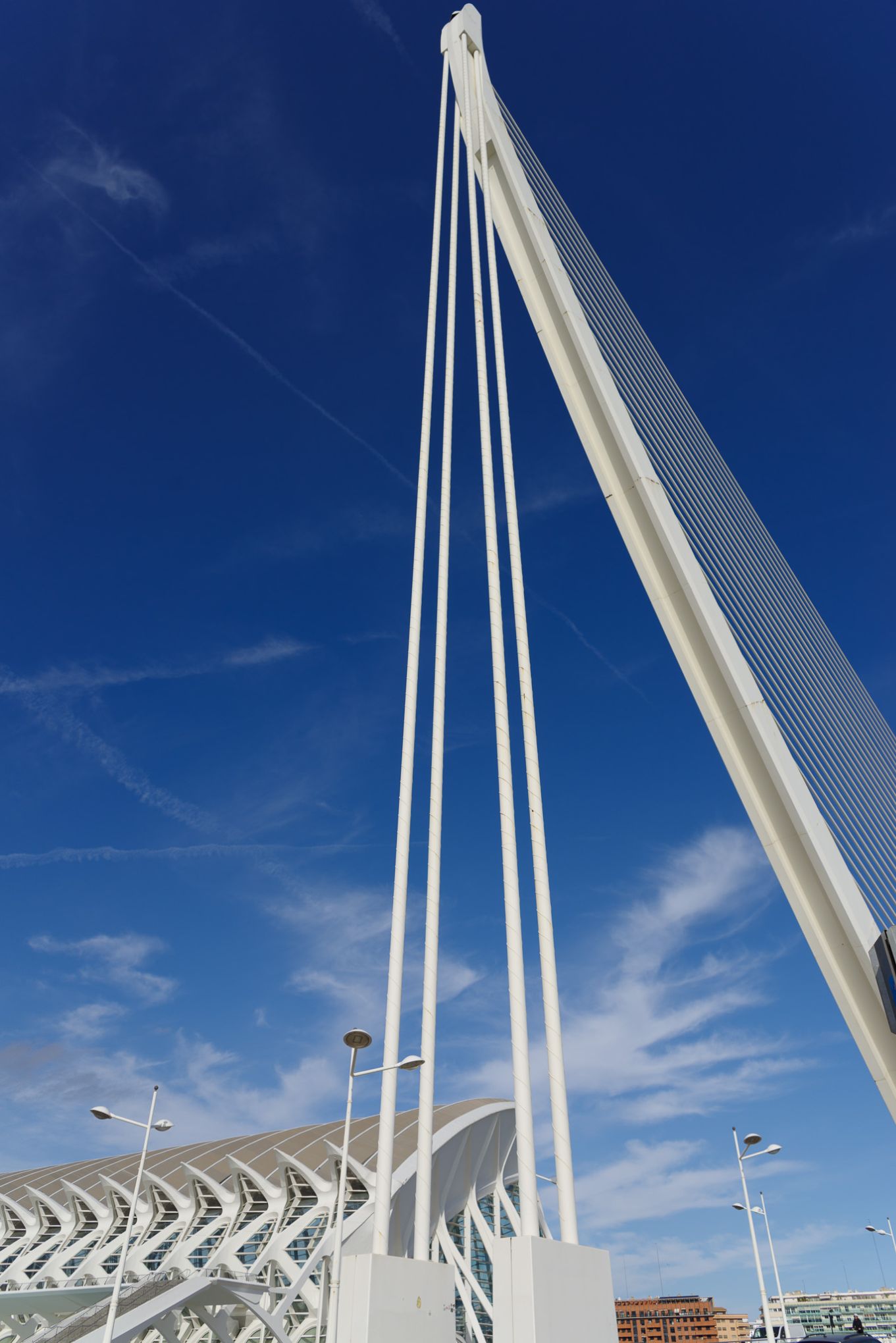 Valencia 20241126 0492