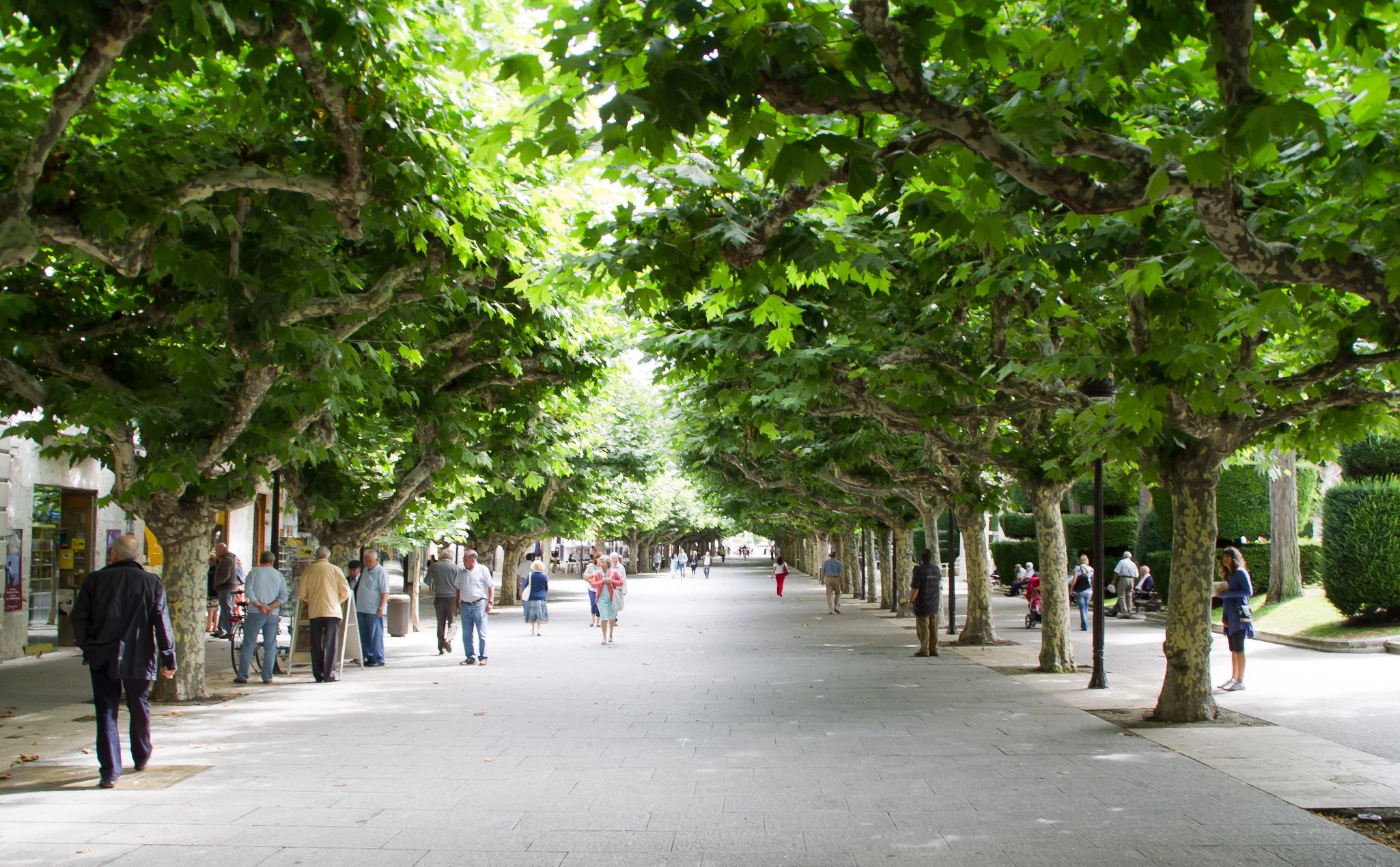 Burgos2010 10