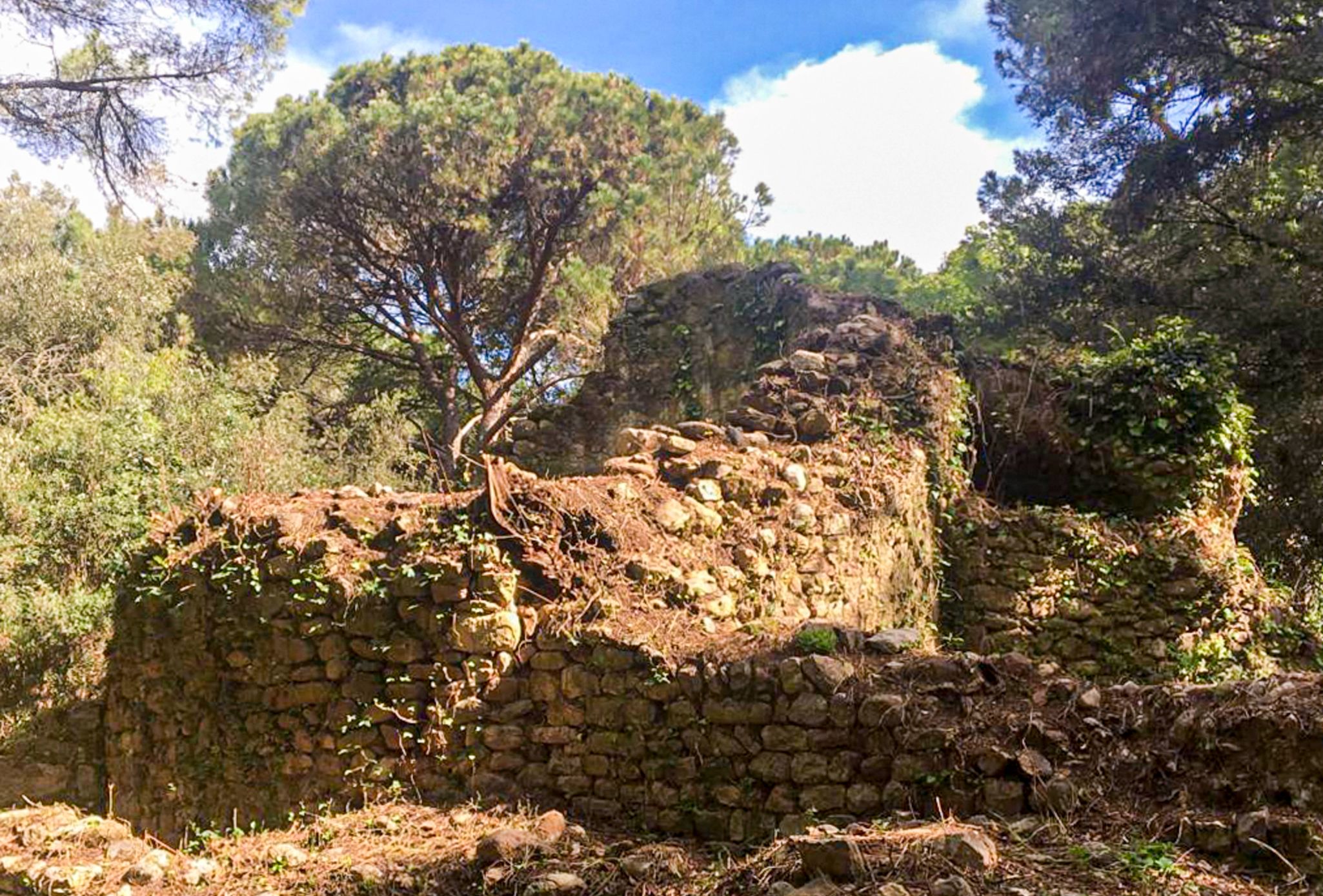 Josep domus220501 9