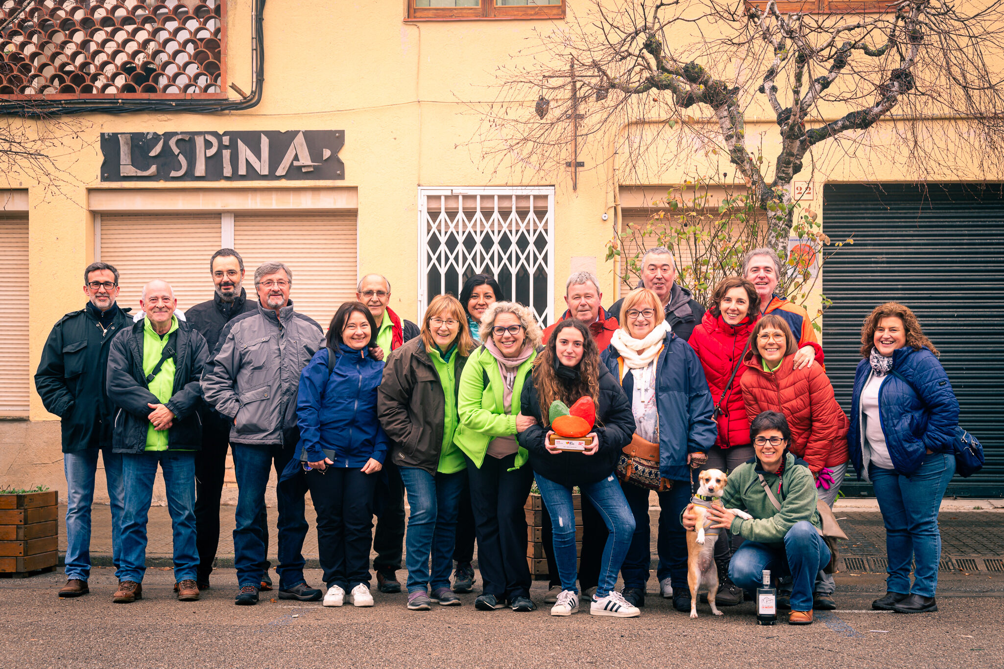 Collsuspina